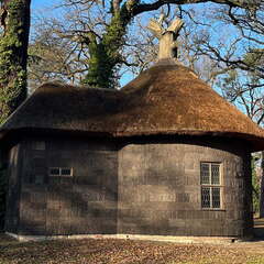 24-12-05 12-13-10 1551